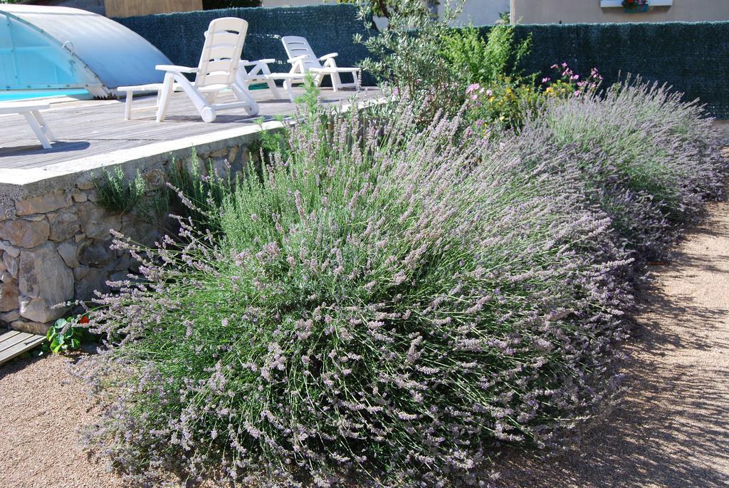 Les Terrasses De Castelmerle Niaux Zewnętrze zdjęcie